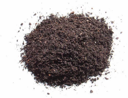 Organic Grow Sample
